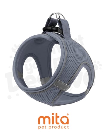 Mita Air Mesh 2'li Bundle Set Kedi Köpek Göğüs Tasması + Köpek Gezdirme Tasması/Kayışı