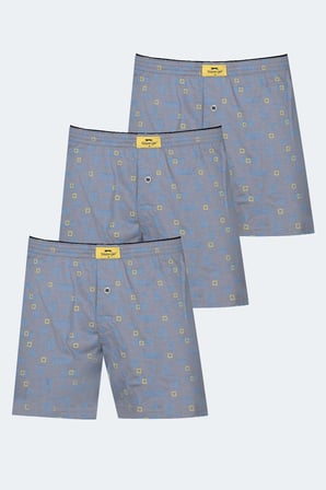 Slazenger HEGEL 3 lü Set Erkek  Karışık Boxer