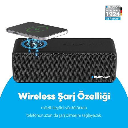 Blaupunkt LS250 Bluetooth Kablosuz Şarj Standlı Hoparlör Ses Bombası Siyah