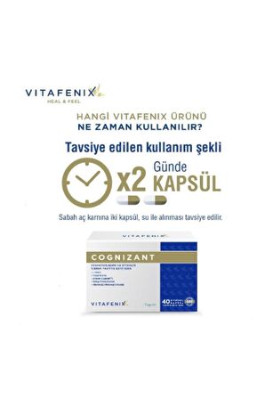 Vitafenix Cognizant Fosfatidilserin Ve Sitikolin İçeren Takviye Edici Gıda Vegan 40 Kapsül - SKT:10/2024