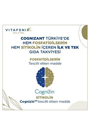 Vitafenix Cognizant Fosfatidilserin Ve Sitikolin İçeren Takviye Edici Gıda Vegan 40 Kapsül - SKT:10/2024