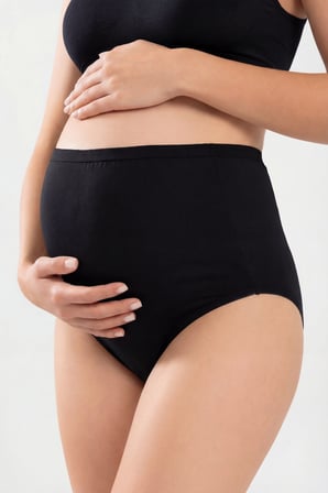 4'lü Paket Kadın Pamuklu Likralı Yüksek Bel Hamile Külodu