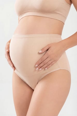 4'lü Paket Kadın Pamuklu Likralı Yüksek Bel Hamile Külodu
