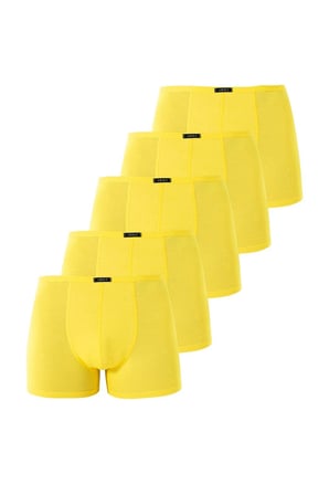 Erkek İnce Bel Lastikli Bambu Boxer 5'li Paket
