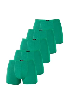 Erkek İnce Bel Lastikli Bambu Boxer 5'li Paket