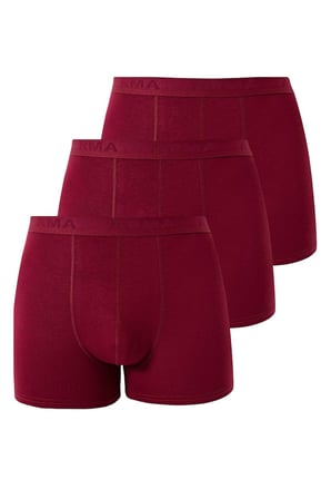 Erkek Bambu Boxer 3'lü Paket