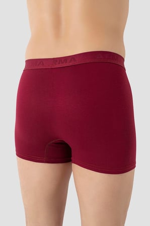 Erkek Bambu Boxer 3'lü Paket