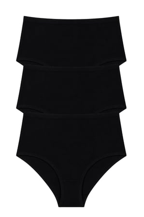 Kadın Yüksek Bel Pamuklu Slip Külot 3'lü Paket Esnek Kumaş
