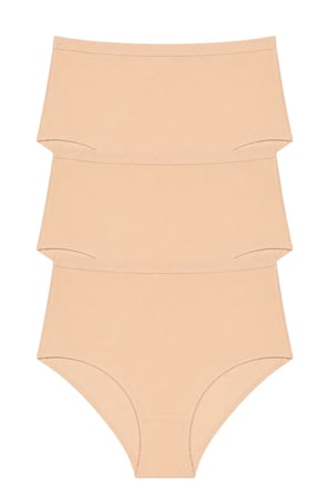 Kadın Yüksek Bel Pamuklu Slip Külot 3'lü Paket Esnek Kumaş