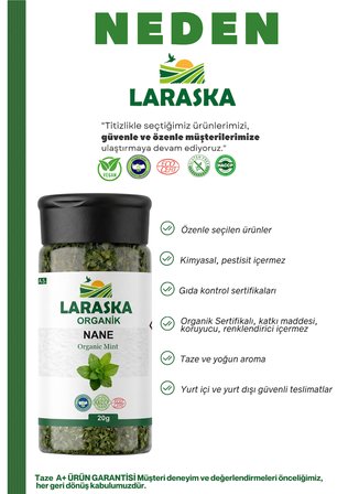 Organik Nane 50g - Organic SpearMint 50g