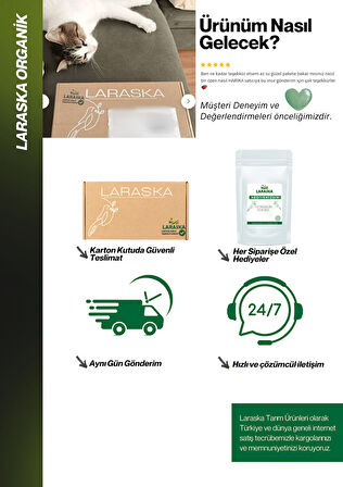 Kabak Çekirdeği İçi Çiğ 500g- Raw Pumpkin Seeds