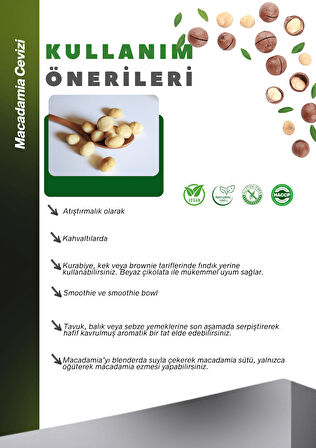 Makedemya Fındığı 100g Macadamia Nuts