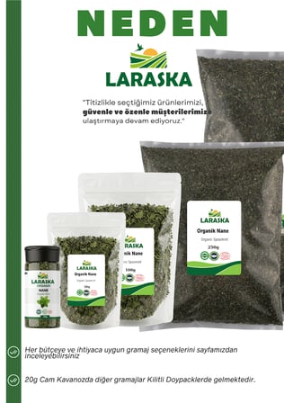 Organik Nane 20g - Organic SpearMint 50g