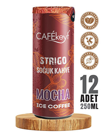 CAFEkeyf Soğuk Kahve Mocha aromalı 250ml 12li Kutu