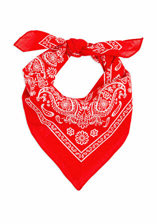 Mavi Baskılı Kırmızı Bandana 1911810-82580