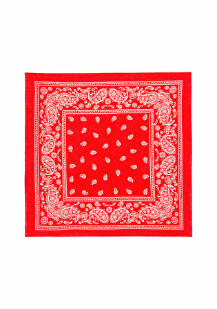 Mavi Baskılı Kırmızı Bandana 1911810-82580