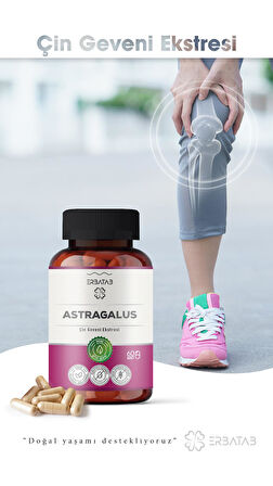 Erbatab Astragalus Çin Geveni Ekstresi 60 Kapsül