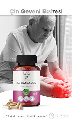 Erbatab Astragalus Çin Geveni Ekstresi 60 Kapsül