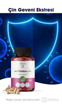 Erbatab Astragalus Çin Geveni Ekstresi 60 Kapsül