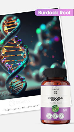 Erbatab Burdock Root Dulavrat Otu Ekstresi 60 Kapsül