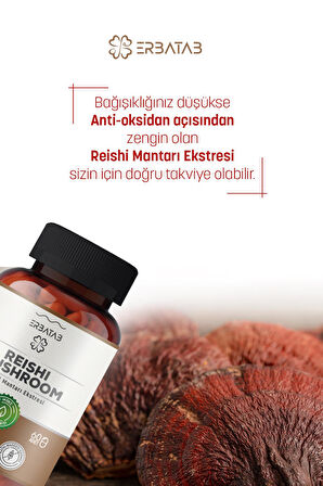 Erbatab Reishi Mantarı Ekstresi 60 Kapsü