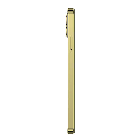 Reeder S23 Pro Max 256 GB Gold