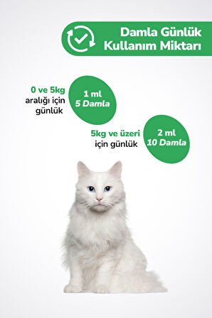 Kedi Tüy Döküm Dökülmesi Önleyici Engelleyici Damla Kediler Için Biyotin Multivitamin – 50ml