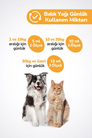 Fish Oil - Kedi Ve Köpekler Için Balık Yağı 200ml Omega 3 ve 6 Takviyesi Tüy ve Cilt Sağlığı Destekl
