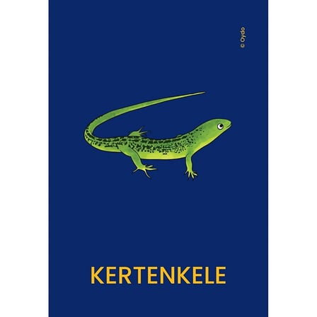 OYDO Kelime Kartları Hayvanlar 2