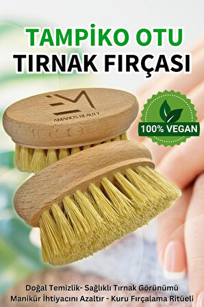 %100 Vegan Tampiko Otu Tırnak Fırçası Doğal Temizlik Sağlıklı Tırnak Görünümü Kuru Fırçalama