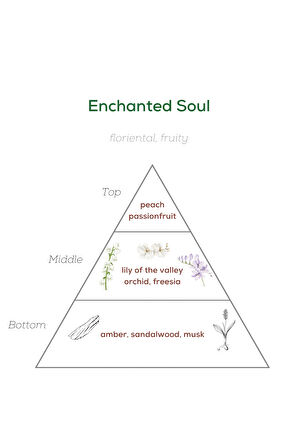 Enchanted Soul Erkek Parfüm Edp 100ml