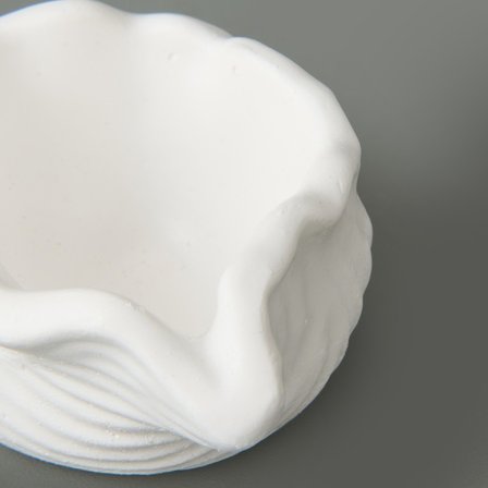 Evidea Deco Nautilius Dekor - Beyaz - 10 cm