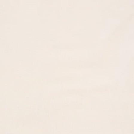 Evidea Soft Basic 2'li Yastık Kılıfı - Ekru - 50x70 cm