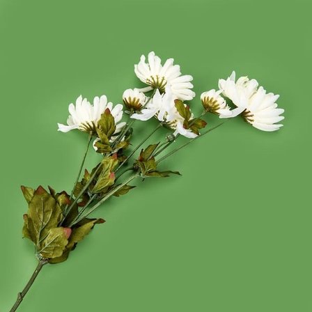 Evidea Deco Krizantem Dal Çiçek -  Krem - 84 cm