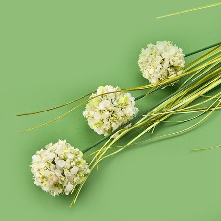Evidea Deco Allium Dal Çiçek - Yeşil - 87 cm