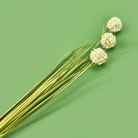 Evidea Deco Allium Dal Çiçek - Yeşil - 87 cm