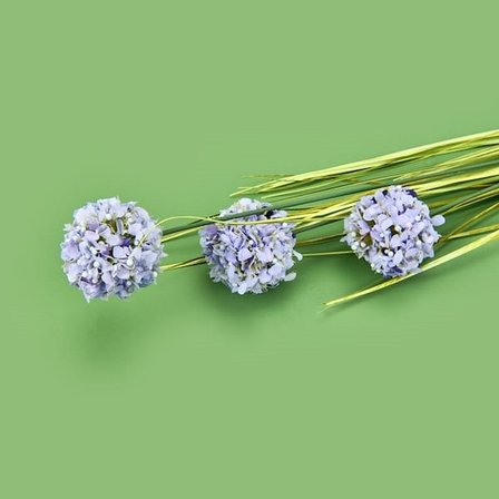 Evidea Deco Allium Dal Çiçek - Mor - 87 cm