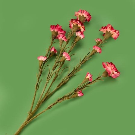 Evidea Deco Karanfil Dal Çiçek - Kırmızı - 68 cm
