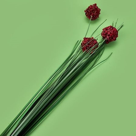 Evidea Deco Allium Dal Çiçek - Bordo - 87 cm