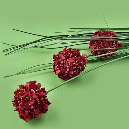 Evidea Deco Allium Dal Çiçek - Bordo - 87 cm