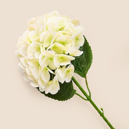Evidea Deco Ortanca Yapay Dal Çiçek - Beyaz - 66 cm