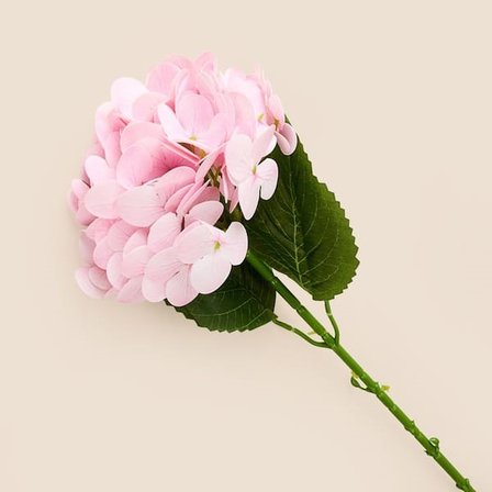 Evidea Deco Ortanca Yapay Dal Çiçek - Açık Pembe - 66 cm