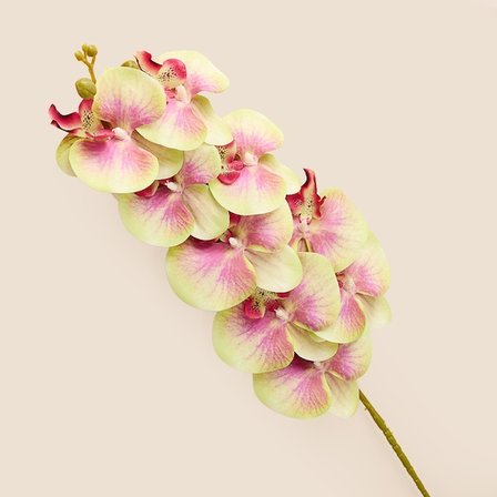 Evidea Deco Orkide Yapay Dal Çiçek - Yeşil / Mor- 104 cm