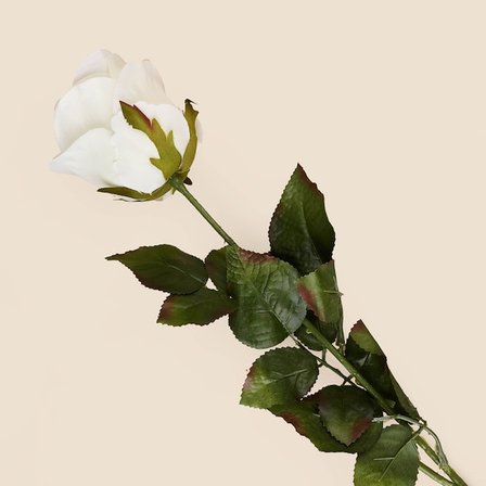 Evidea Deco Gül Yapay Dal Çiçek - Beyaz -  74,5 cm