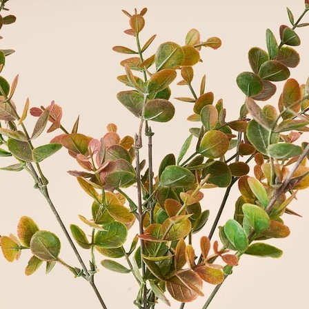 Evidea Deco Okaliptus 5'li Dal Çiçek - Yeşil / Kırmızı - 35 cm