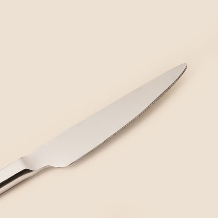 Lugga Doğa 2'li Yemek Bıçağı - Platin