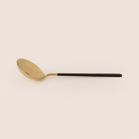 Evidea Kitchen Raya Servis Kepçesi - Gold / Siyah