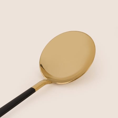 Evidea Kitchen Raya Servis Kepçesi - Gold / Siyah