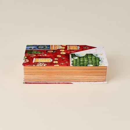 Evidea Deco Kış Evi Kitap Kutu - Renkli - 20x12 cm