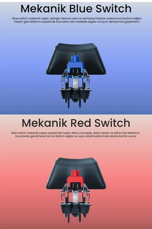 Nova MK104 Rainbow Bilek Destekli Türkçe FullAnti-Ghosting Mekanik Oyuncu Klavyesi Beyaz Blue Switch